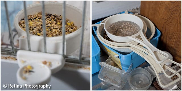 Bird Seed Tray and Measures