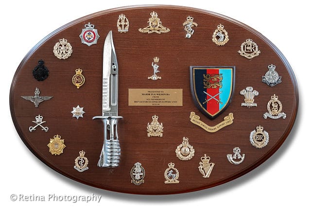 Display Of British Army Cap Badges Mounted on Wooden Frame