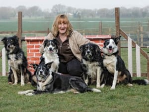Dog Agility Trainer With Own Dogs