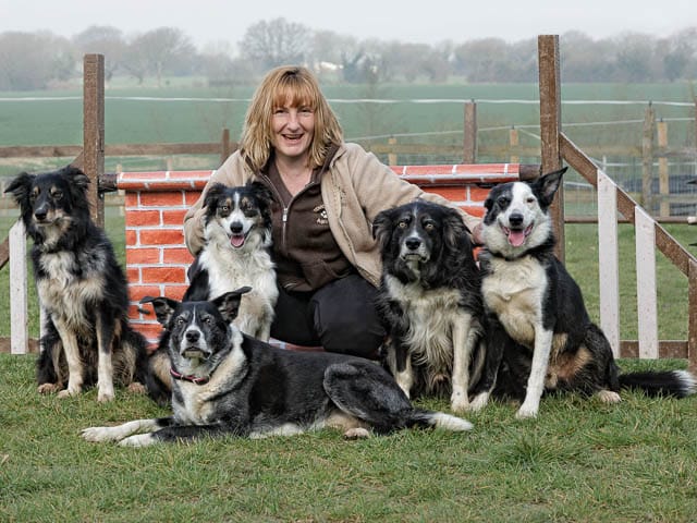 Dog Agility Trainer With Own Dogs