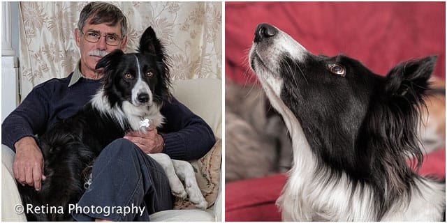 Pet Dog Owner With Collie Dog In Chair