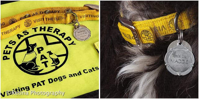 Pets As Therapy Dog Jacket And Award Medal