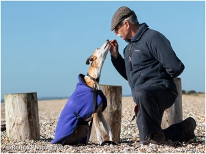 Short Haired Lurcher Dog With Trainer On Beach