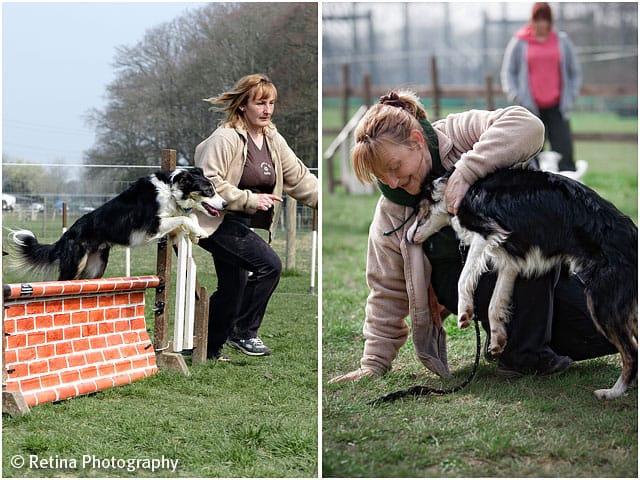 Dog Agility Jumping With Trainer