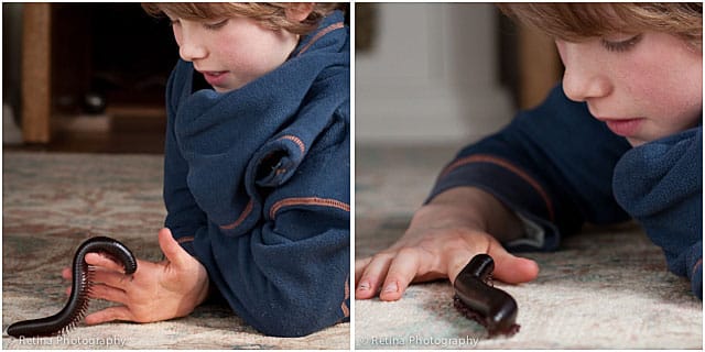 Giant Millipede With Young Boy