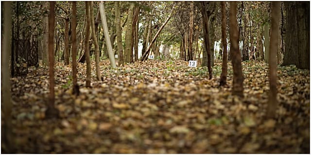 Hunter Field Target Ground View