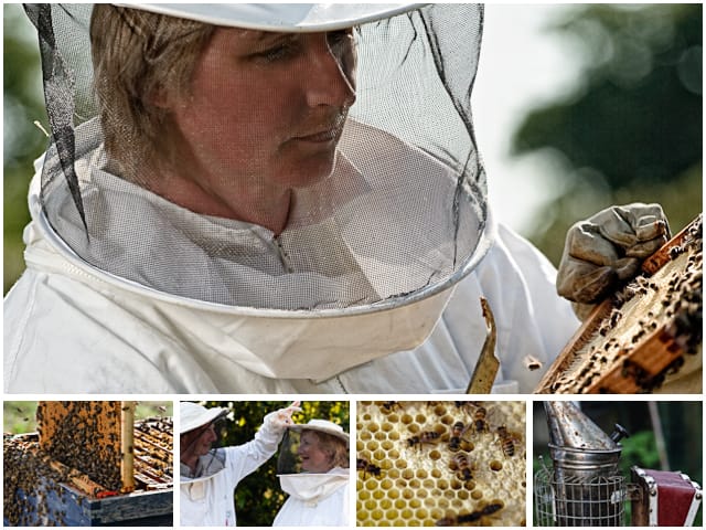 Weekend Passions Beekeepers Editiorial Montage