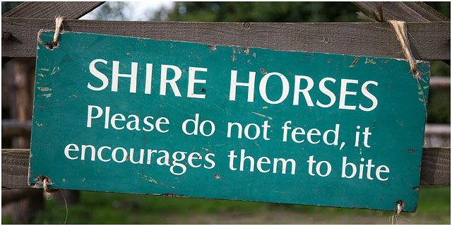 Do Not Feed The Shire Horses Sign