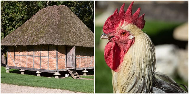 Granary Building With Cockerel