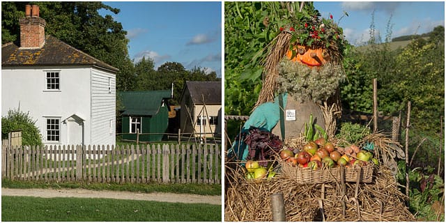 Whittakers Cottages From Ashtead Surrey With Scarecrow And Garden Produce