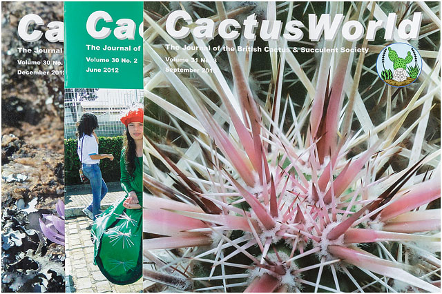 Cactus World Magazine Covers