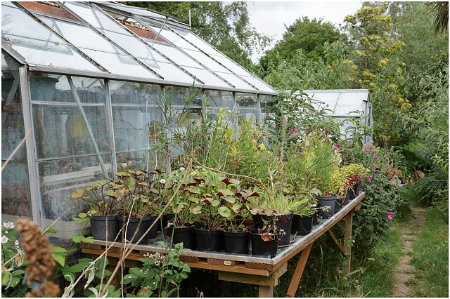 Outside View Of Two Glass Greenhouses With Plants Outside