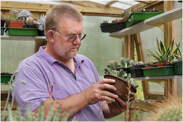 Portrait of man inspecting cactus plant in pot Portrait Of Man Inspecting Cactus Plant In Pot