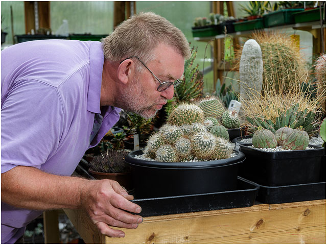 Portrait Of Man Kissing Cactus In Greenhouse