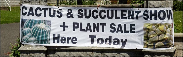 Portsmouth branch british cactus and succulent society show 2014 banner Banner For Portsmouth Branch British Cactus And Succulents Society June 2014 Show