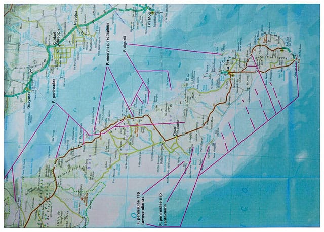 Travel Route And Destinations On Map Of Mexico