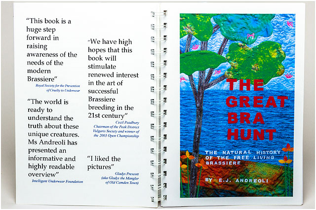 Book Reviews For The Great Bra Hunt Book 
