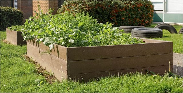 Second style of wooden raised garden beds built by members of Havant Mens Shed 