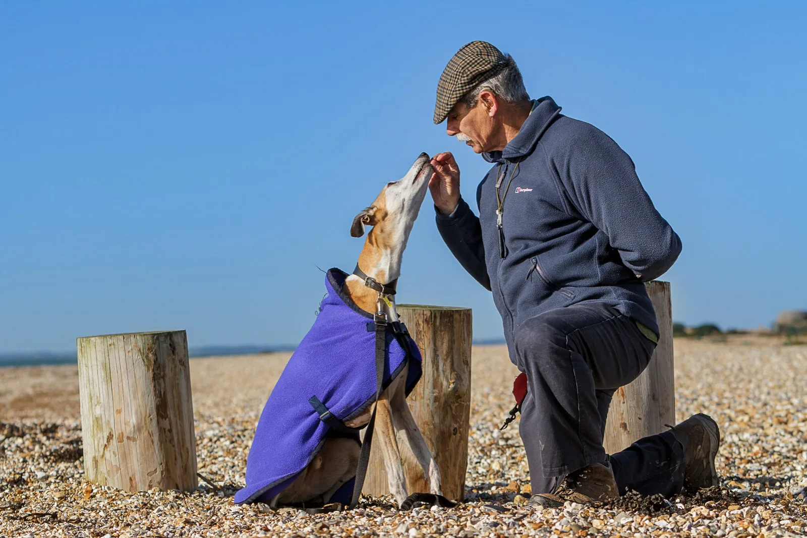 promotional portrait of male Pets as Therapy dog trainer feeding dog with treat on beach