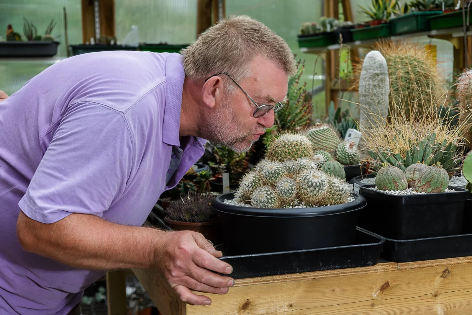 promotional portrait of a middle aged man kissing a cactus from his collection
