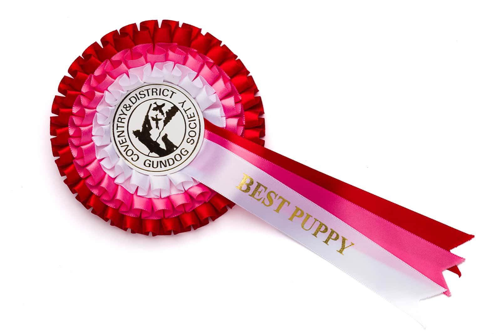 SPL-Best Puppy best puppy show rosette