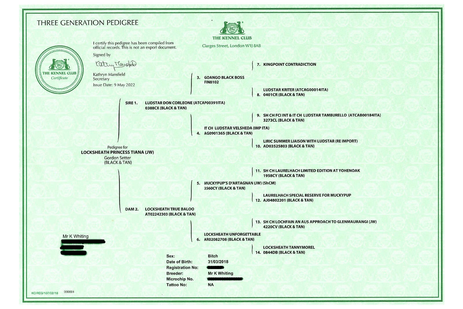 SPL-Pedigree2 Gordon Setter Pedigree chart