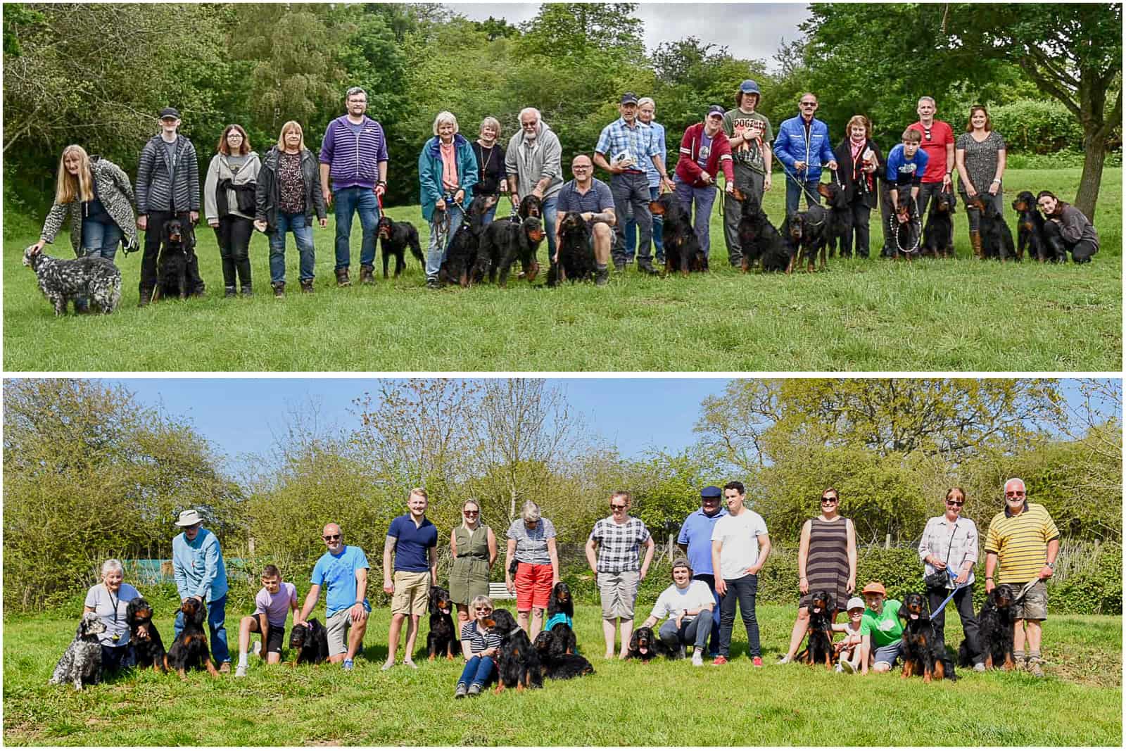 SPL-Puppy party Locksheath gordon setter 1st birthday puppy party