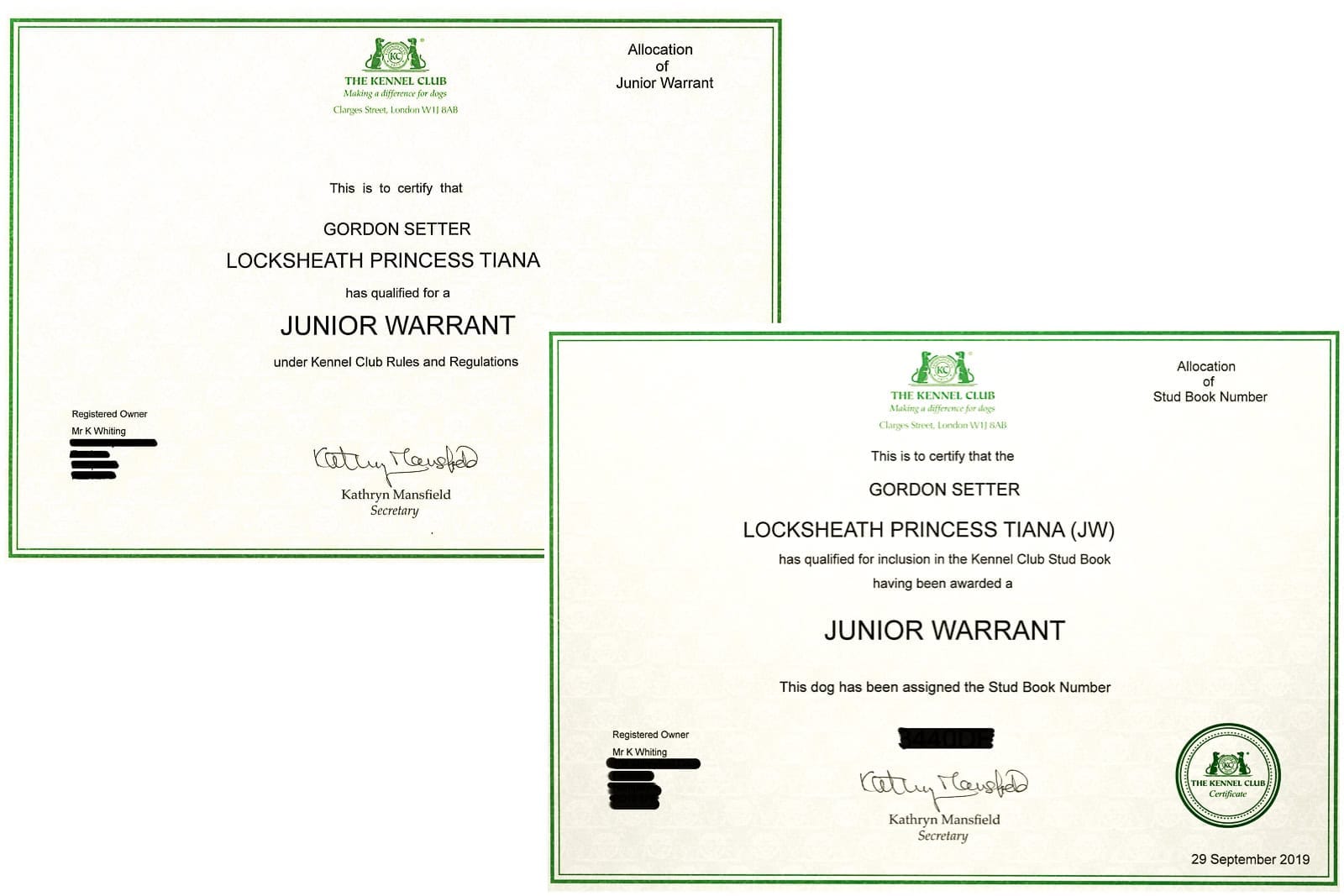 SPL-Junior Warrant Junior Warrant Kennel Club Dog certificates