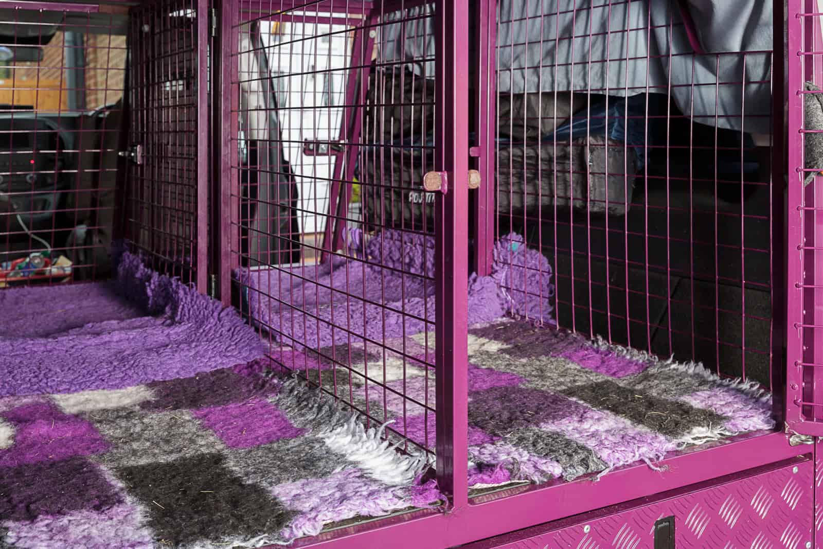 SPL-Van 02 Van fitted with customised cages for travelling with dogs