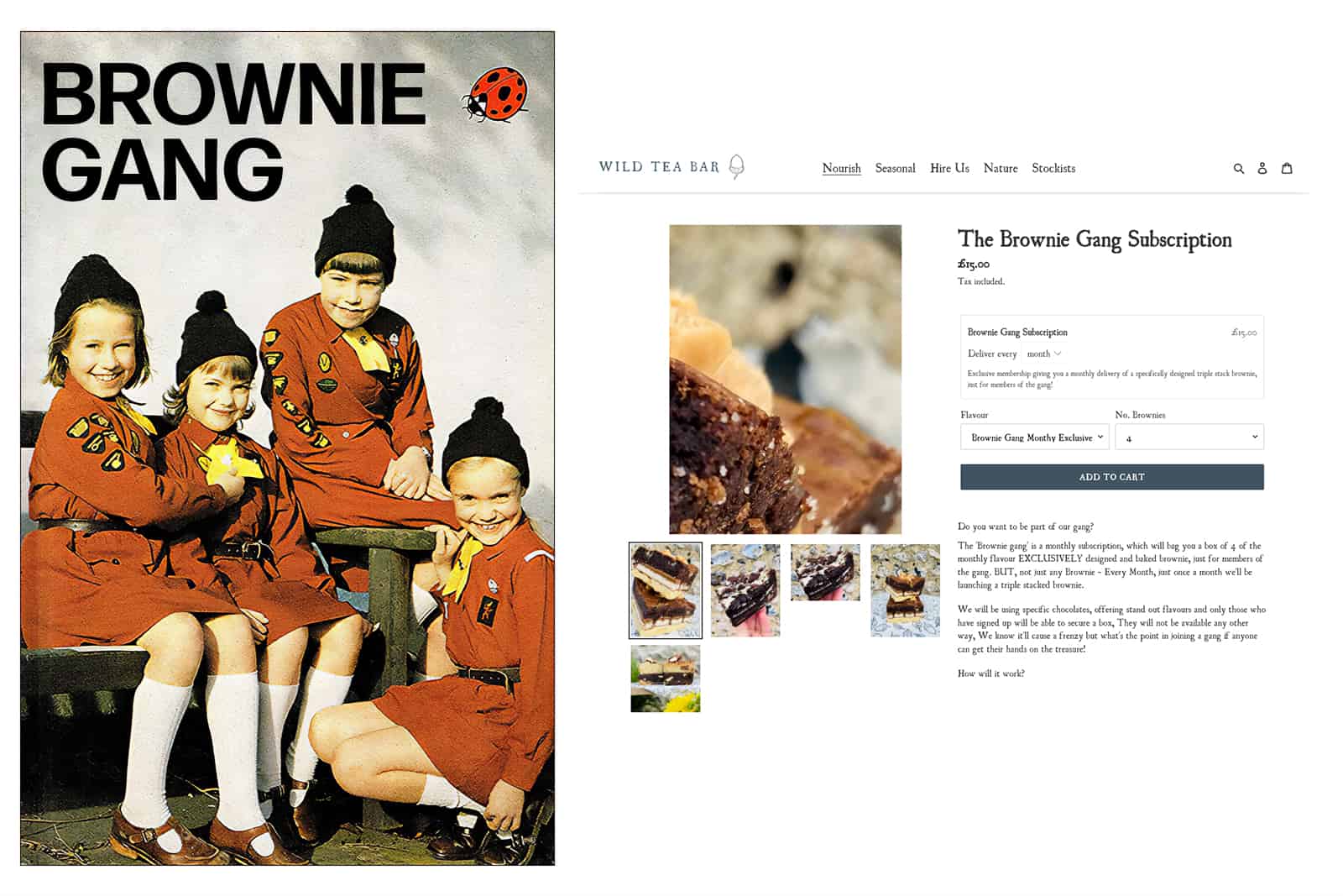 wild tea bar brownie gang subscription