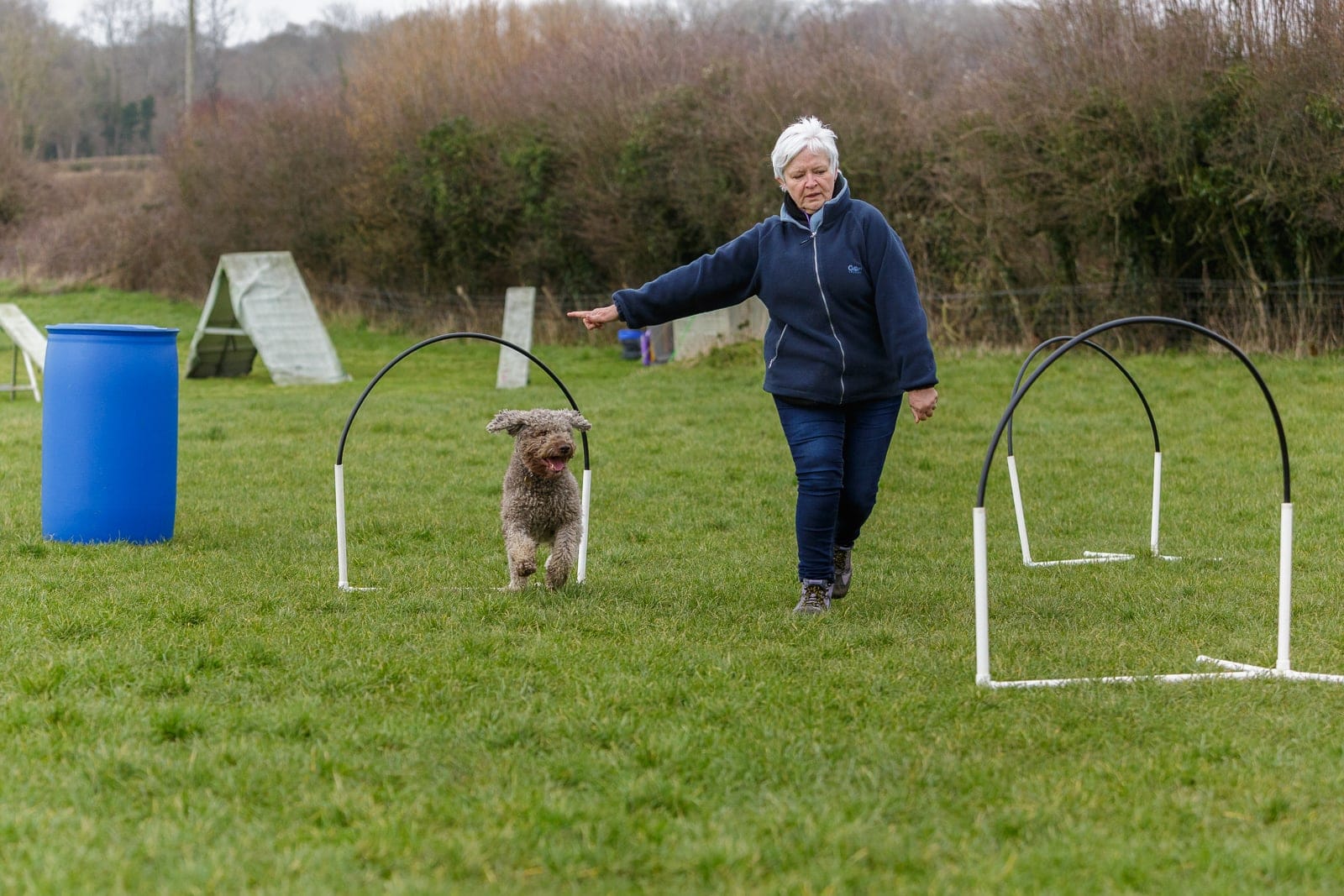 A Lagotto Romagnolo dog with owner in a hoopers class