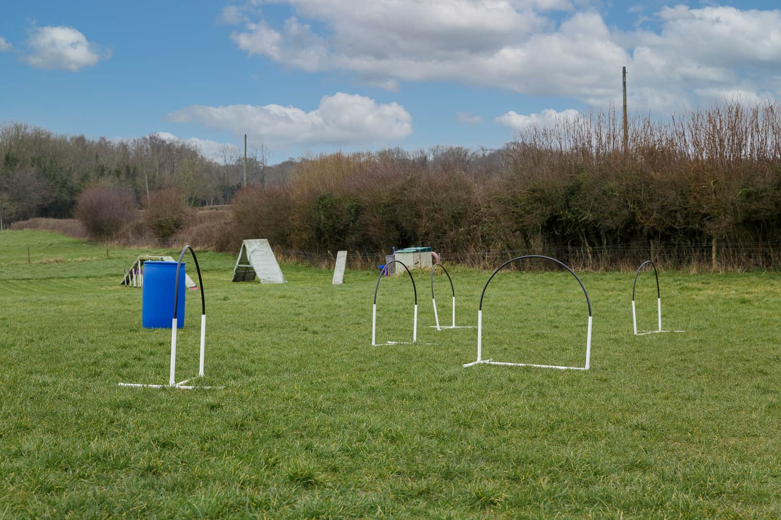 hoopers class equipment in allsorts dog training field