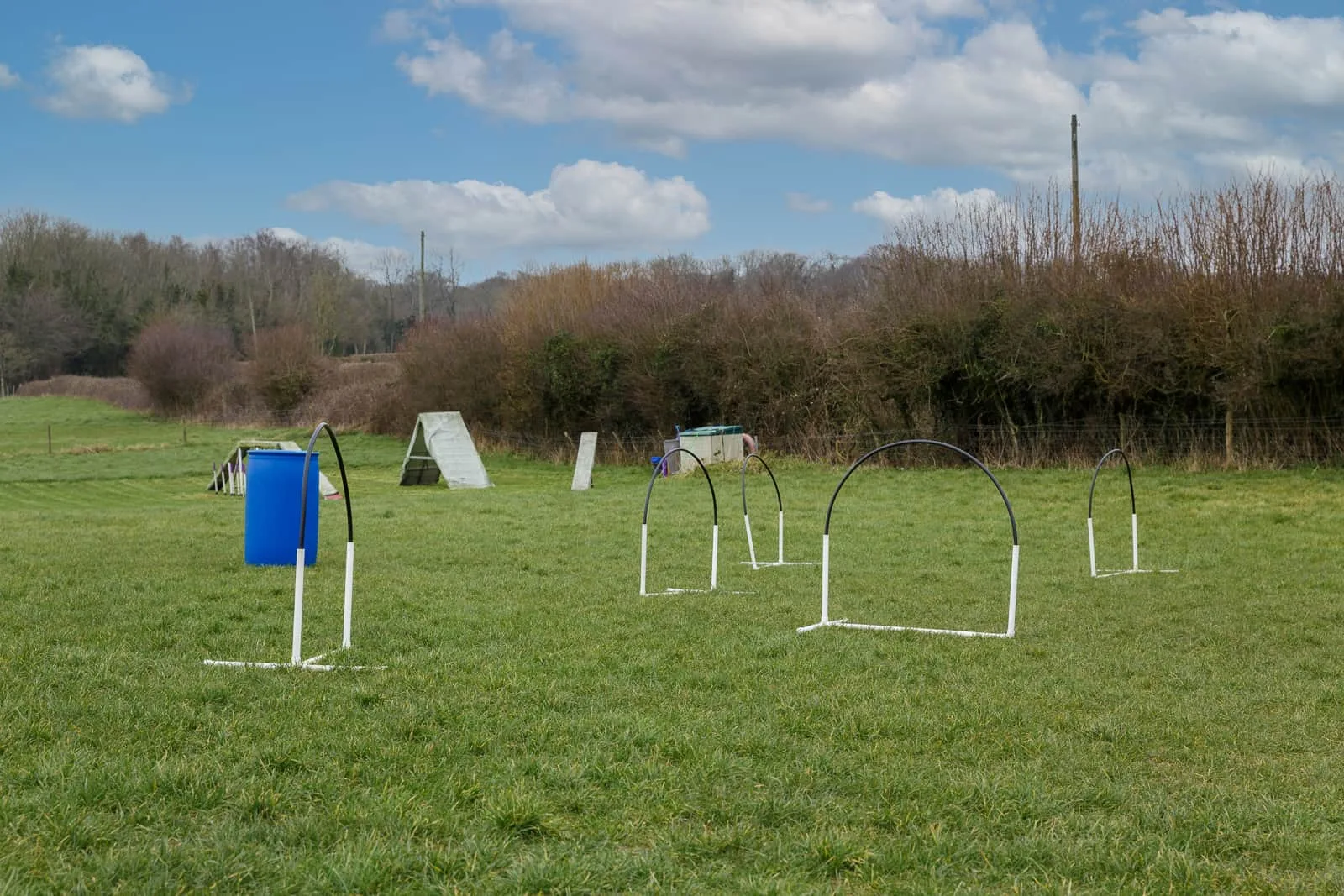 allsorts dog training field hoopers class equipment in allsorts dog training field
