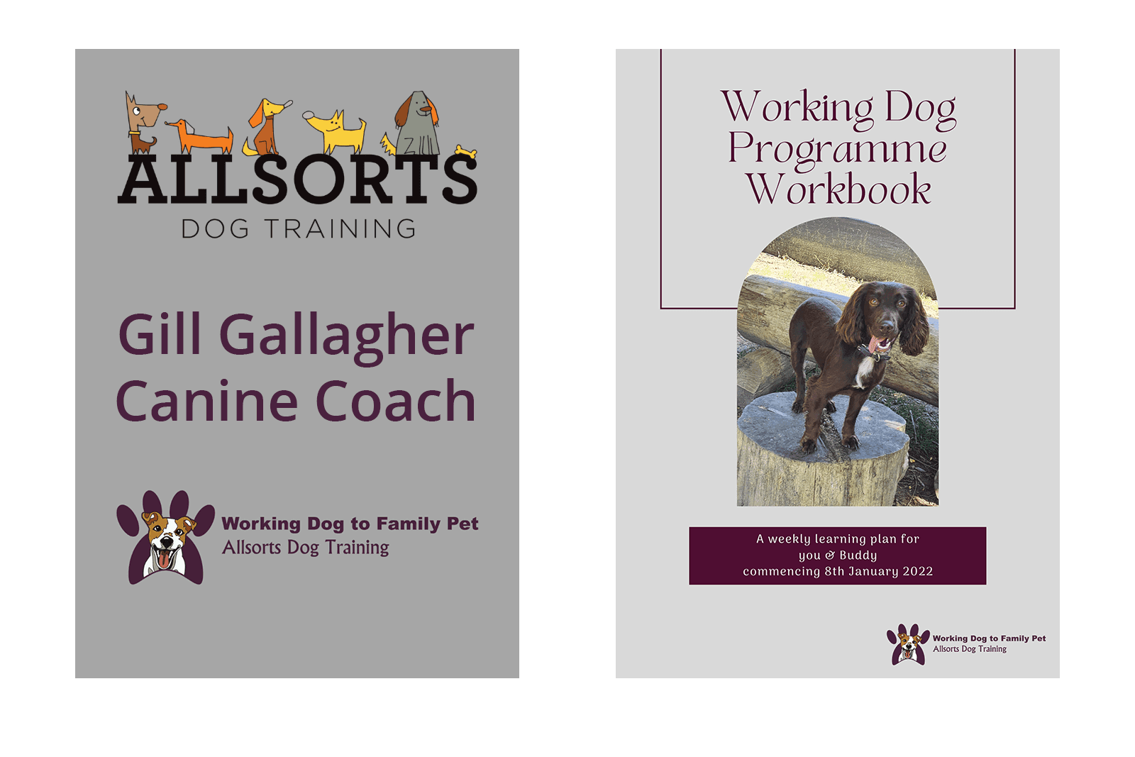 branded-worksheet-for-allsorts-dog-training-1 allsorts dog training branded client dog owners worksheet