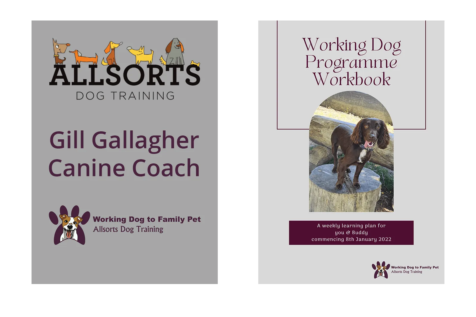 branded-worksheet-for-allsorts-dog-training-1 allsorts dog training branded client dog owners worksheet