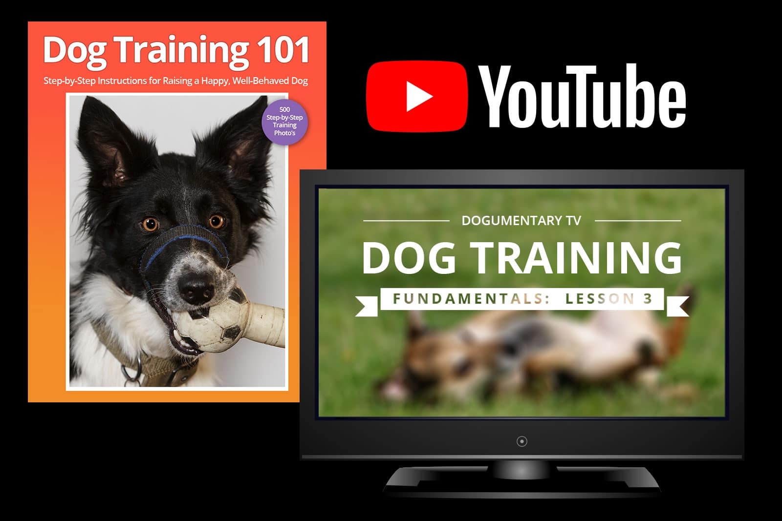 diy-dog-training do it yourself dog training youtube television book