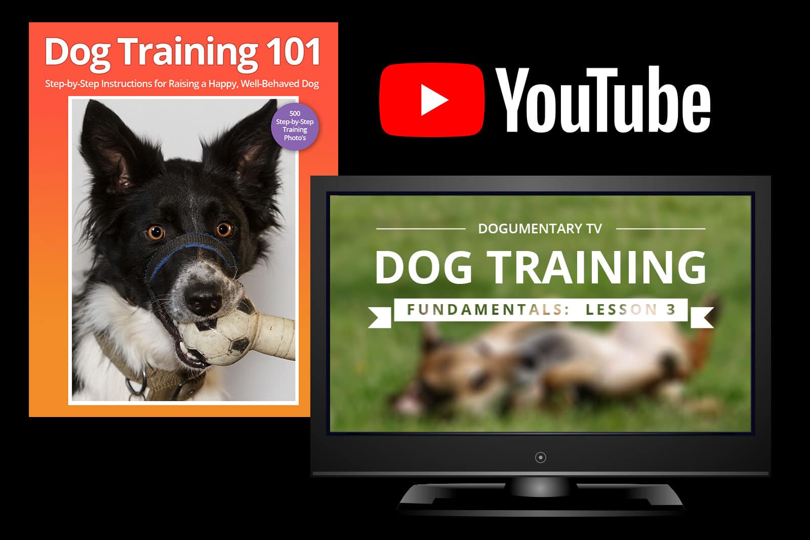 do it yourself dog training youtube television book