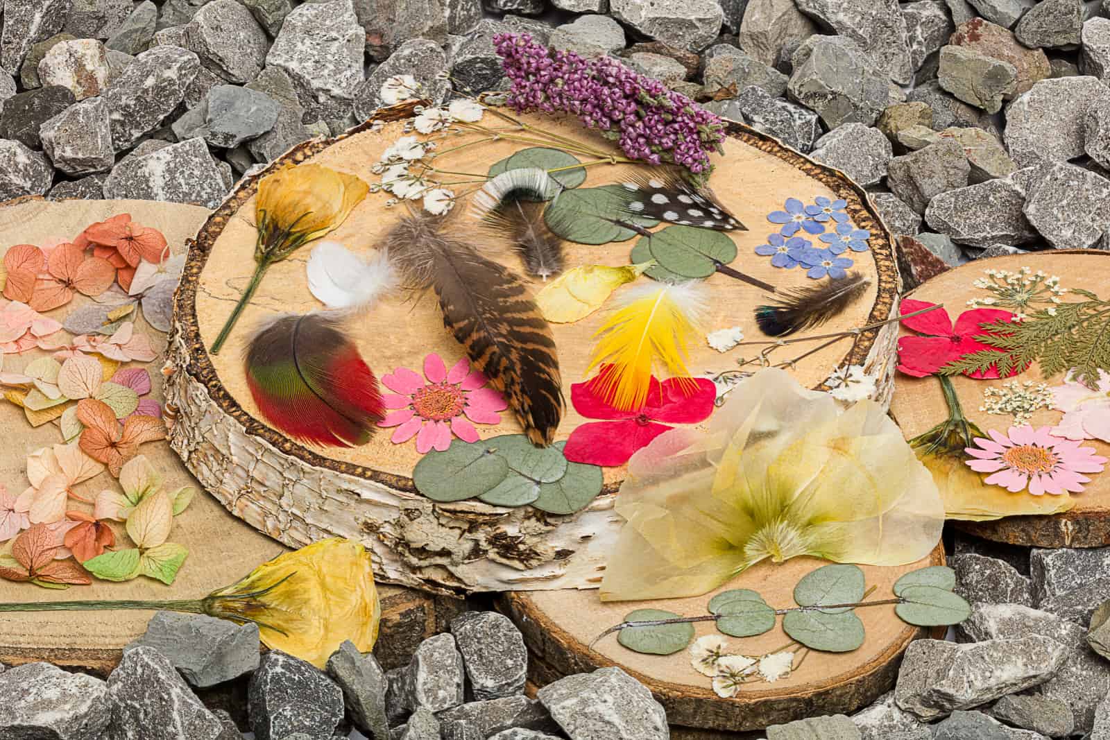 natural objects_SPL