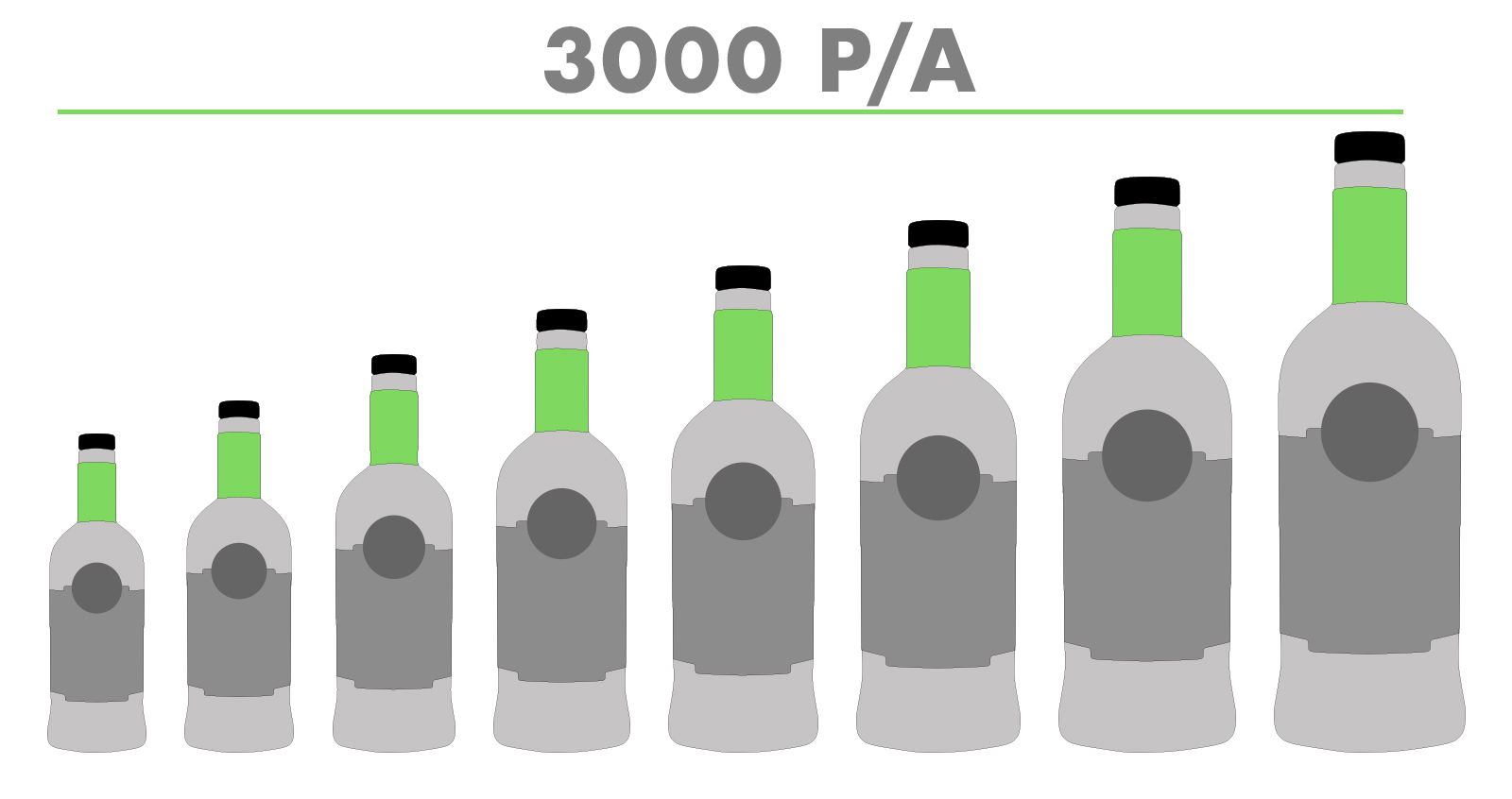 sales chart for 3000 bottles per annum