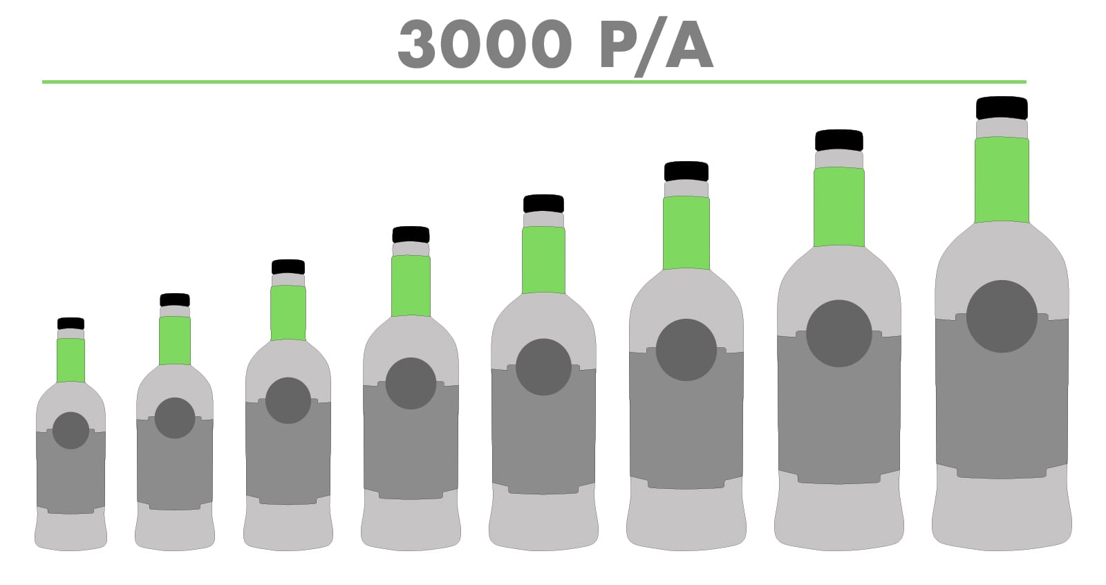 sales chart for 3000 bottles per annum