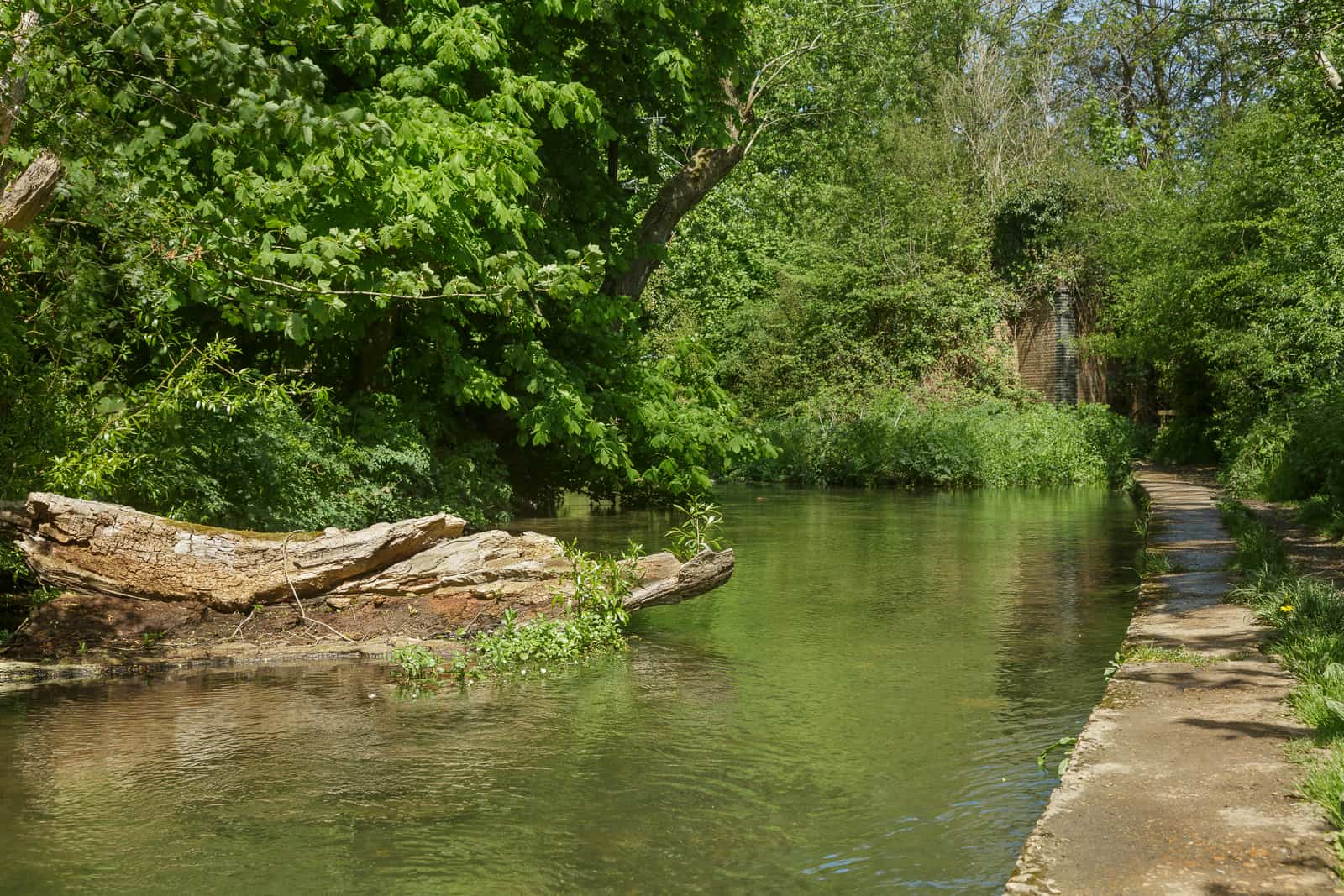 tranquil water view by soberton area bridge