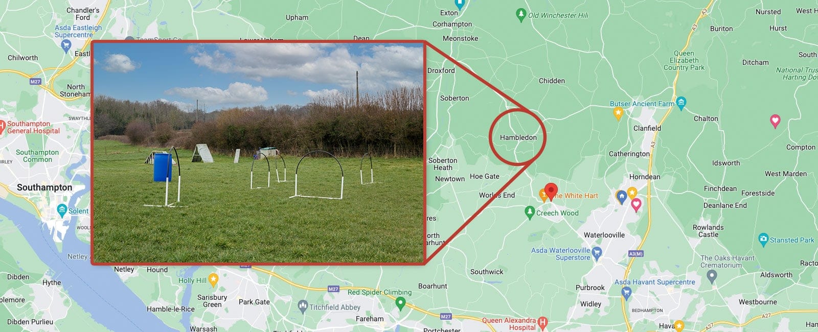 training-field-hambledon allsorts dog training field in Hambledon Hampshire